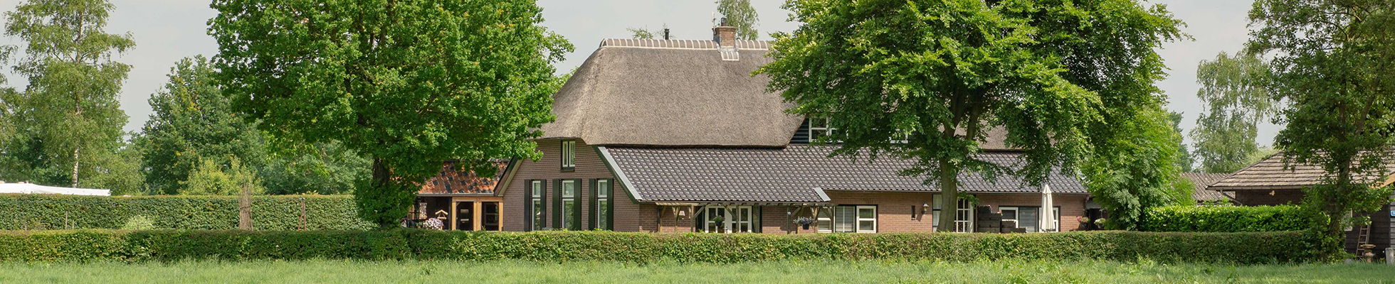 De Damakker — photo 3